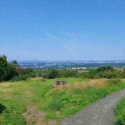 Kinnoull Hill Woodland Park - Perth