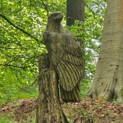 Kinnoull Hill Woodland Park - Perth