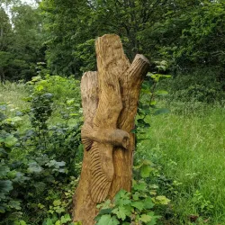 Kinnoull Hill Woodland Park - Perth