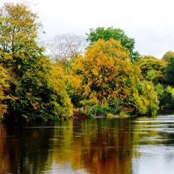River Tay - Perth