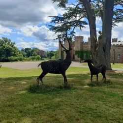 Scone Palace - Perth