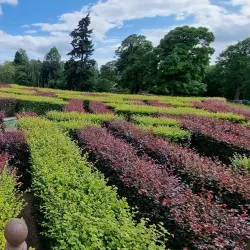 Scone Palace - Perth