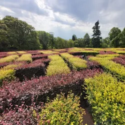 Scone Palace - Perth