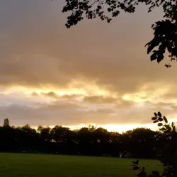 Bretton Woods Country Park - Peterborough