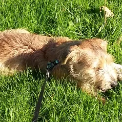 Bretton Woods Country Park - Peterborough