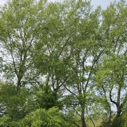 Bretton Woods Country Park - Peterborough