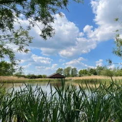 Flag Fen Archaeology Park - Peterborough
