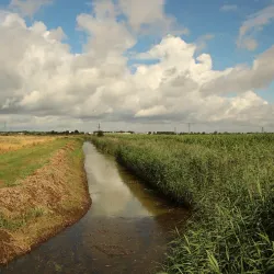 Flag Fen Archaeology Park - Peterborough