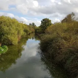 Nene Park - Peterborough