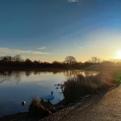 Nene Park - Peterborough