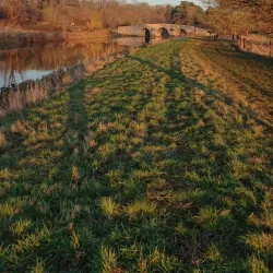 Nene Park - Peterborough