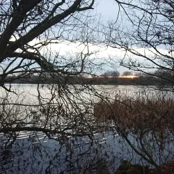 Nene Park - Peterborough