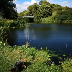Nene Park - Peterborough