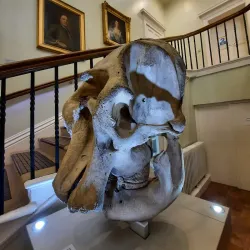 Peterborough Museum and Art Gallery - Peterborough