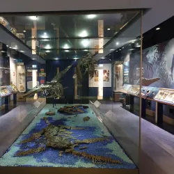 Peterborough Museum and Art Gallery - Peterborough