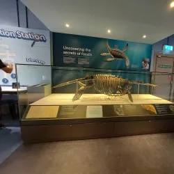 Peterborough Museum and Art Gallery - Peterborough