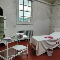 Peterborough Museum and Art Gallery - Peterborough