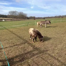 Sacrewell Farm and Country Centre - Peterborough