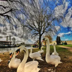 The Key Theatre - Peterborough