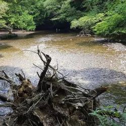 Devonport Heritage Trail - Plymouth