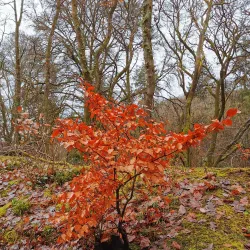 Devonport Heritage Trail - Plymouth