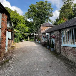 Mount Edgcumbe House and Country Park - Plymouth
