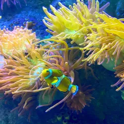 National Marine Aquarium - Plymouth