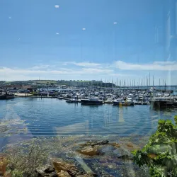 National Marine Aquarium - Plymouth