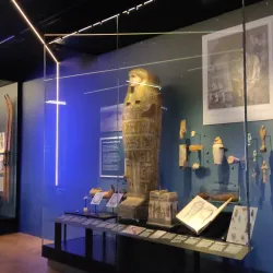 Plymouth City Museum and Art Gallery - Plymouth