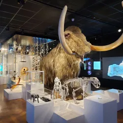 Plymouth City Museum and Art Gallery - Plymouth