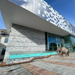 Plymouth City Museum and Art Gallery - Plymouth