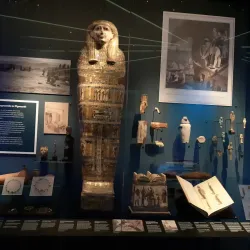 Plymouth City Museum and Art Gallery - Plymouth