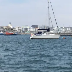 Sutton Harbour - Plymouth