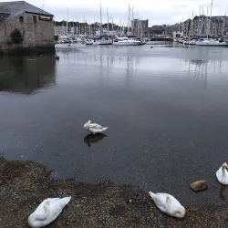 Sutton Harbour - Plymouth
