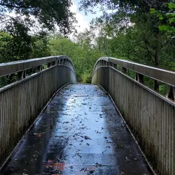 Coed-y-Cwm Woods - Pontypridd