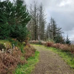 Llanwynno Heritage Trail - Pontypridd