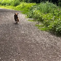 Llanwynno Heritage Trail - Pontypridd