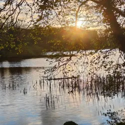 Lurgan Park - Portadown