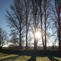 Portadown Golf Club - Portadown