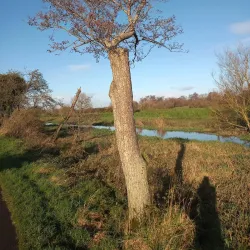 Portadown Golf Club - Portadown