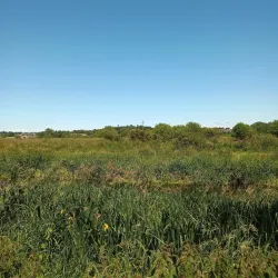 Portadown Golf Club - Portadown