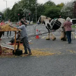 Portadown Town Hall - Portadown