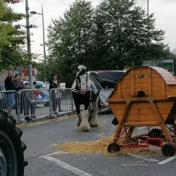 Portadown Town Hall - Portadown