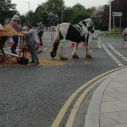 Portadown Town Hall - Portadown