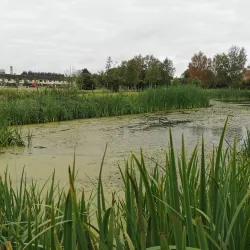 The People's Park - Portadown