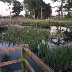 The People's Park - Portadown