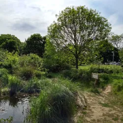 Ellington Park - Ramsgate