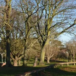 Ellington Park - Ramsgate