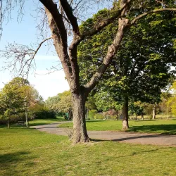 Ellington Park - Ramsgate