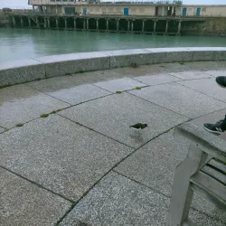 Royal Harbour - Ramsgate